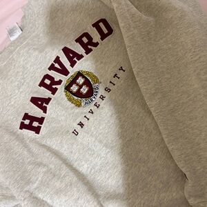 Champion Light Gray Sweatshirt